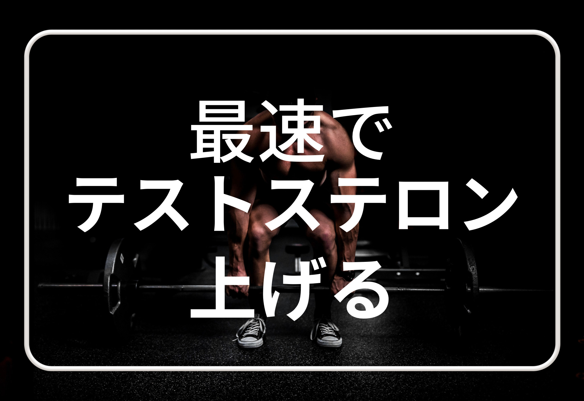 テストステロンとは何か？その効果や向上させる方法も実体験から解説【結果：男が磨かれる】 - サラドリ